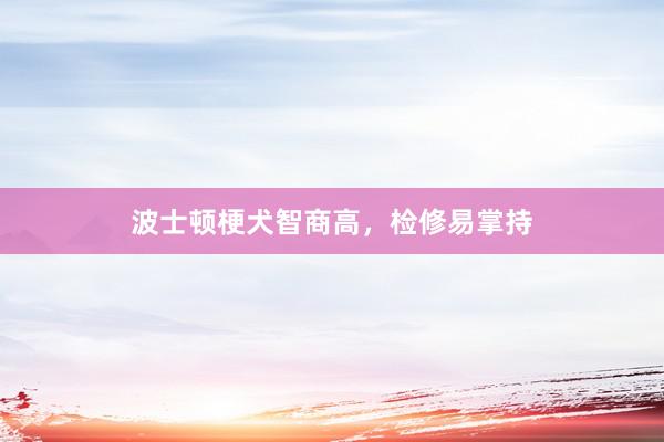 波士顿梗犬智商高，检修易掌持